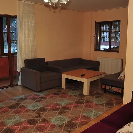 Cam & Restaurant 2 * Uzungol